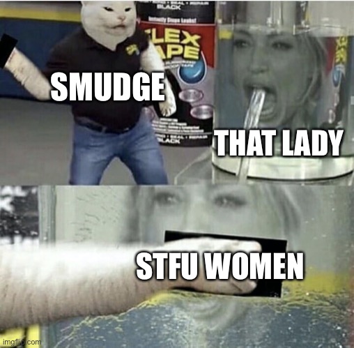 Woman Yelling At Cat Flex Tape Crossover | SMUDGE; THAT LADY; STFU WOMEN | image tagged in woman yelling at cat flex tape crossover,stfu,woman | made w/ Imgflip meme maker