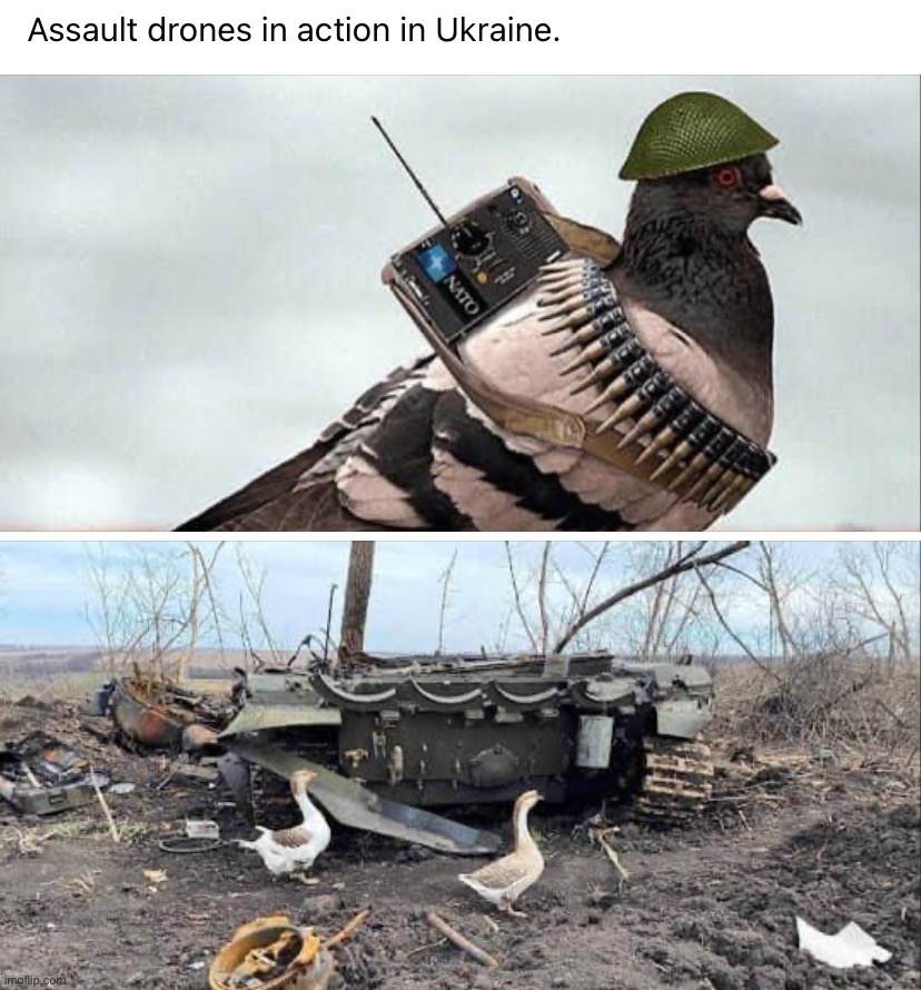 Assault drones in Ukraine | image tagged in assault drones in ukraine | made w/ Imgflip meme maker