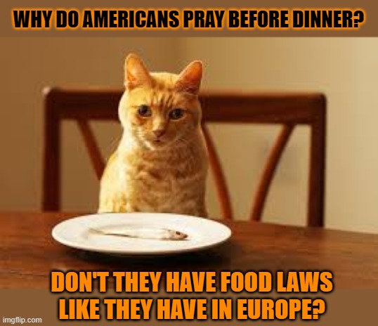 This #lolcat wonders why Americans pray before they eat | WHY DO AMERICANS PRAY BEFORE DINNER? DON'T THEY HAVE FOOD LAWS
LIKE THEY HAVE IN EUROPE? | image tagged in lolcat,food,praying,laws,nasty food,european union | made w/ Imgflip meme maker