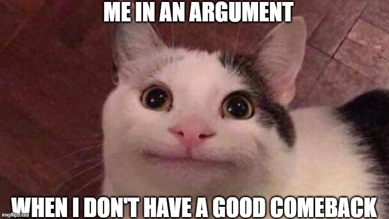 ME IN AN ARGUMENT; WHEN I DON'T HAVE A GOOD COMEBACK | image tagged in polite cat | made w/ Imgflip meme maker