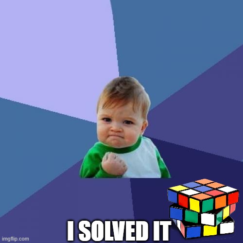 I SOLVED IT | I SOLVED IT | image tagged in memes,success kid | made w/ Imgflip meme maker