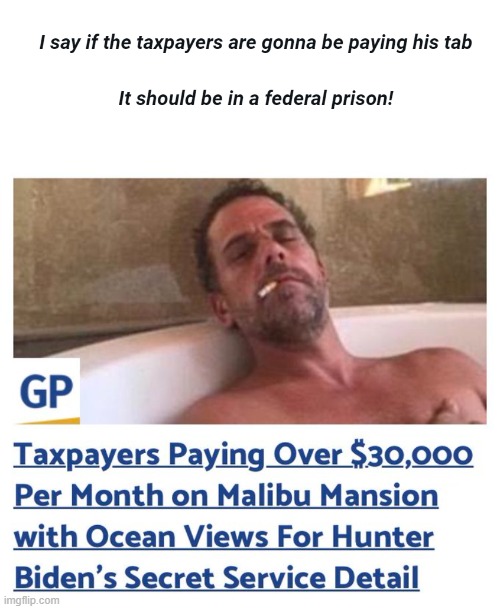 I say if the taxpayers are gonna be paying his tab,,, | image tagged in hunter biden,hunter biden scandle | made w/ Imgflip meme maker