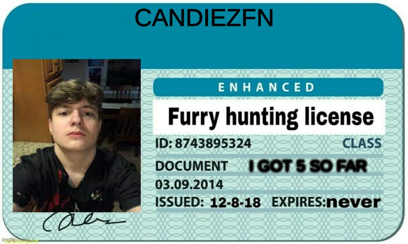 i fr got 5 down we need to get more | CANDIEZFN; I GOT 5 SO FAR | image tagged in furry hunting license | made w/ Imgflip meme maker