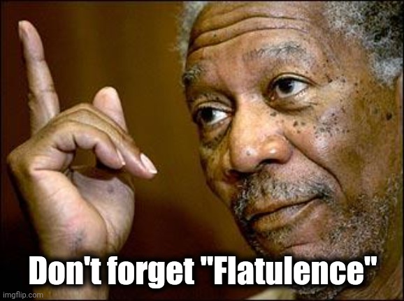 This Morgan Freeman | Don't forget "Flatulence" | image tagged in this morgan freeman | made w/ Imgflip meme maker