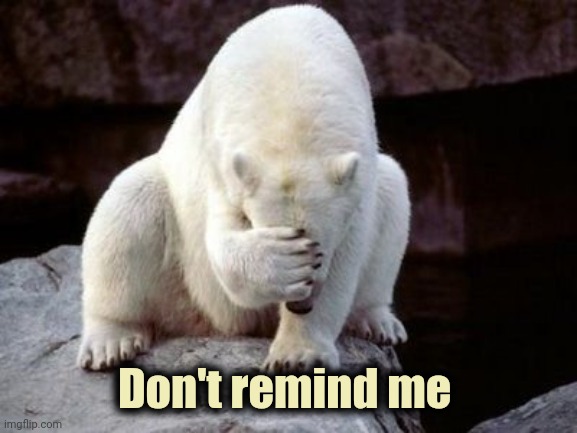 Bear face palm  | Don't remind me | image tagged in bear face palm | made w/ Imgflip meme maker
