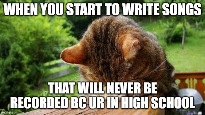 Depression | WHEN YOU START TO WRITE SONGS; THAT WILL NEVER BE RECORDED BC UR IN HIGH SCHOOL | image tagged in embarrassed cat | made w/ Imgflip meme maker