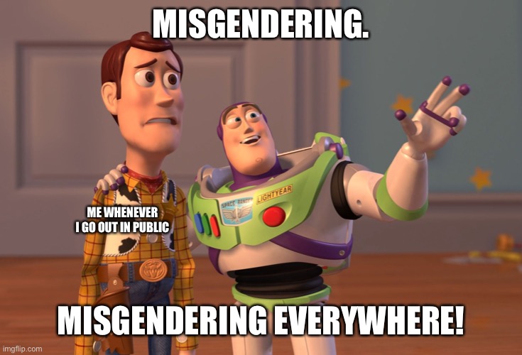 Non-binary life be like | MISGENDERING. ME WHENEVER I GO OUT IN PUBLIC; MISGENDERING EVERYWHERE! | image tagged in memes,x x everywhere | made w/ Imgflip meme maker