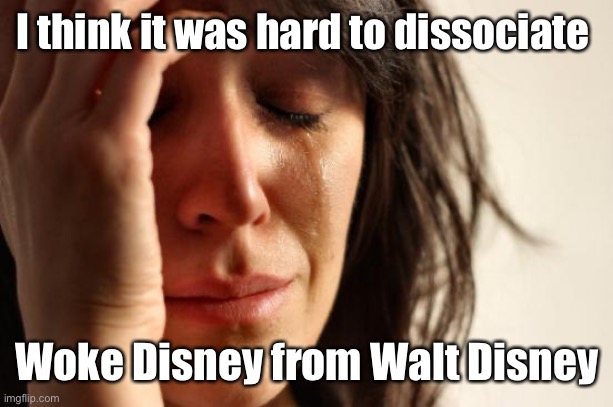 First World Problems Meme | I think it was hard to dissociate Woke Disney from Walt Disney | image tagged in memes,first world problems | made w/ Imgflip meme maker