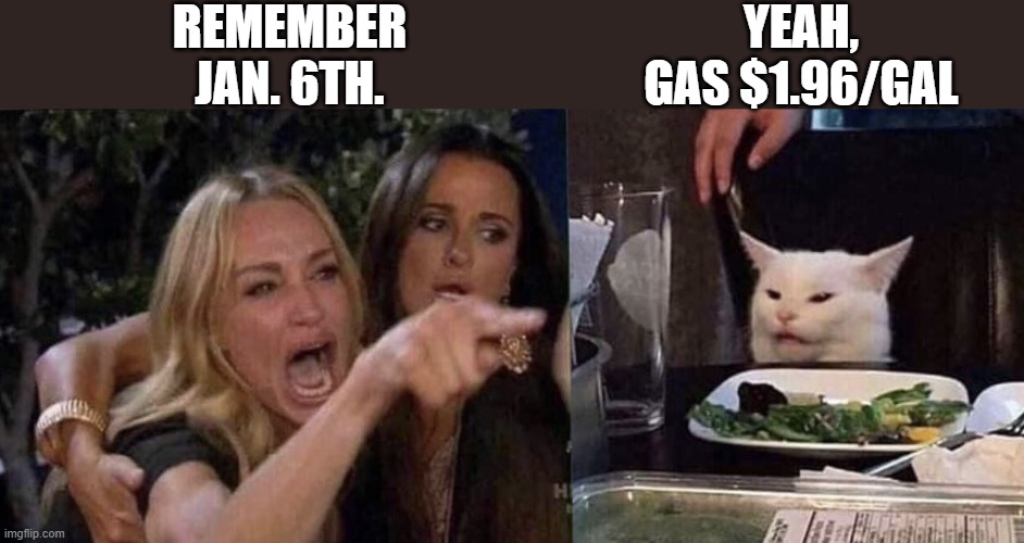 woman yelling at cat | REMEMBER JAN. 6TH. YEAH, GAS $1.96/GAL | image tagged in woman yelling at cat | made w/ Imgflip meme maker