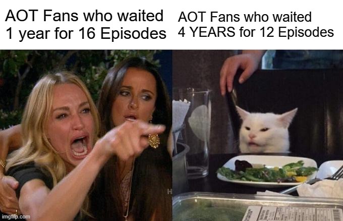Maam, HAVE SOME RESPECT! | AOT Fans who waited 1 year for 16 Episodes; AOT Fans who waited 4 YEARS for 12 Episodes | image tagged in memes,woman yelling at cat,fun,funny,attack on titan,rip | made w/ Imgflip meme maker