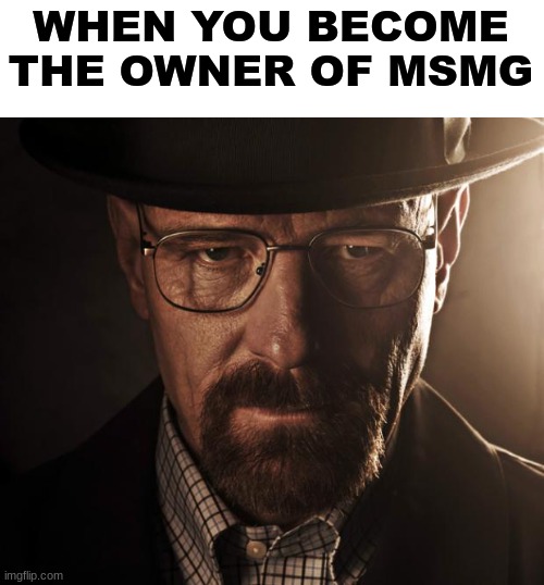Heisenberg | WHEN YOU BECOME THE OWNER OF MSMG | image tagged in heisenberg | made w/ Imgflip meme maker