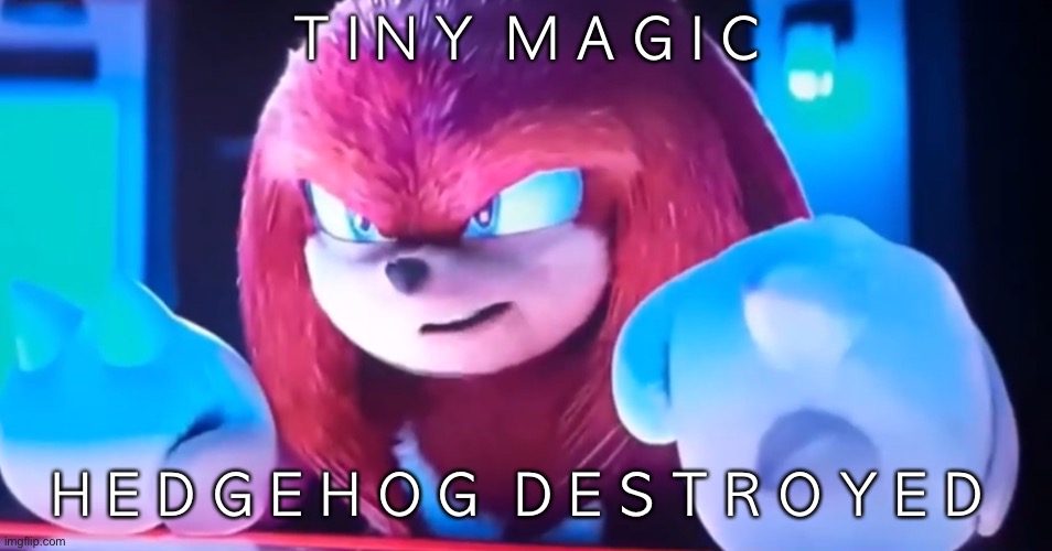 T I N Y  M A G I C; H E D G E H O G  D E S T R O Y E D | made w/ Imgflip meme maker