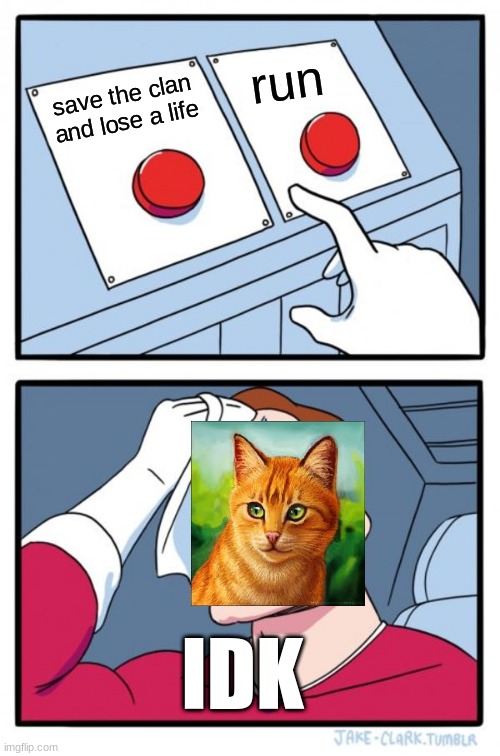 firestar | run; save the clan and lose a life; IDK | image tagged in memes,two buttons,warriors,warrior cats,cat,cats | made w/ Imgflip meme maker