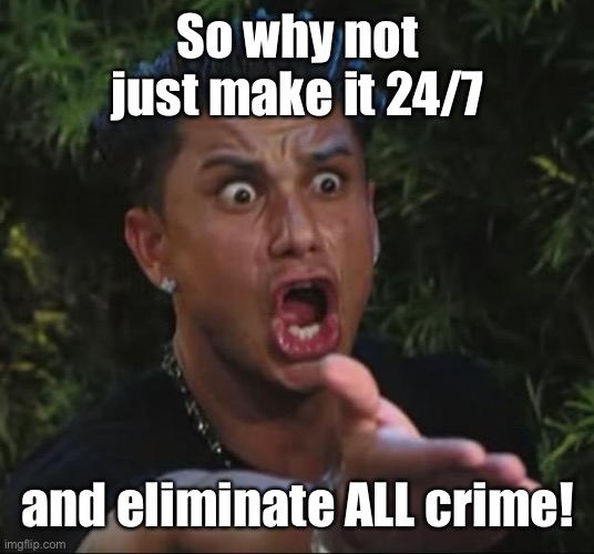 DJ Pauly D Meme | So why not just make it 24/7 and eliminate ALL crime! | image tagged in memes,dj pauly d | made w/ Imgflip meme maker
