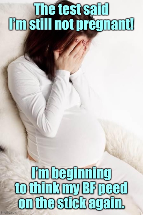 pregnant hormonal | The test said I’m still not pregnant! I’m beginning to think my BF peed on the stick again. | image tagged in pregnant hormonal | made w/ Imgflip meme maker