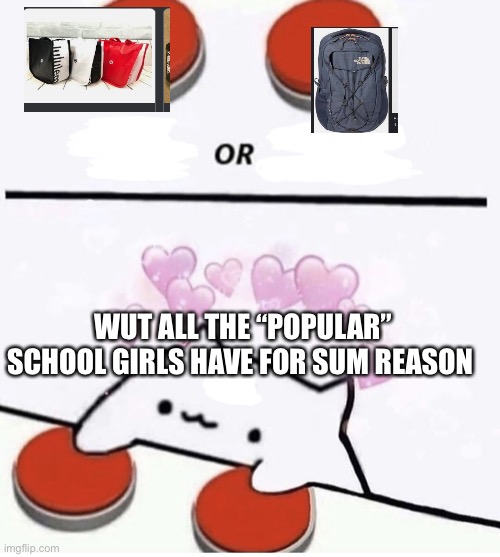 What all the popular goes have | WUT ALL THE “POPULAR” SCHOOL GIRLS HAVE FOR SUM REASON | image tagged in cat pressing two buttons,school,fashion | made w/ Imgflip meme maker