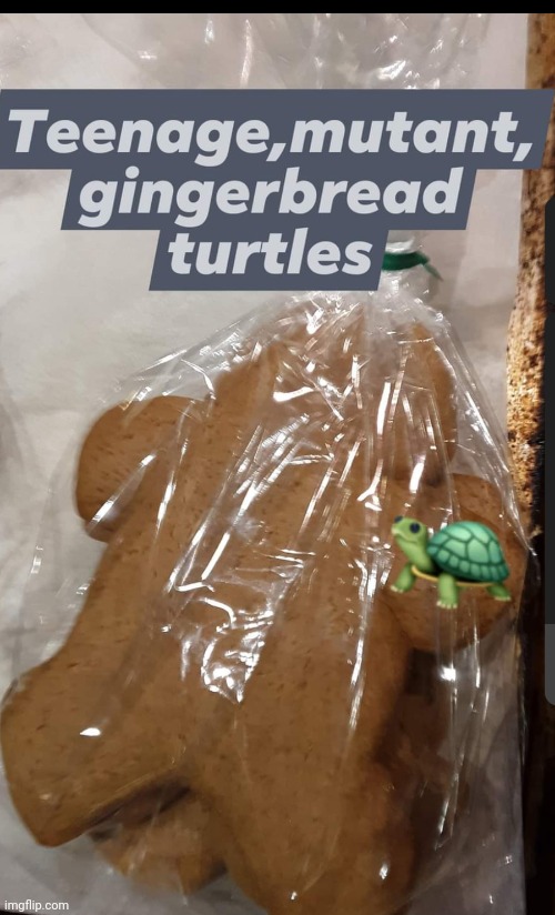 Gingerbread turtles | image tagged in teenage mutant ninja turtles,food,funny food,ginger | made w/ Imgflip meme maker