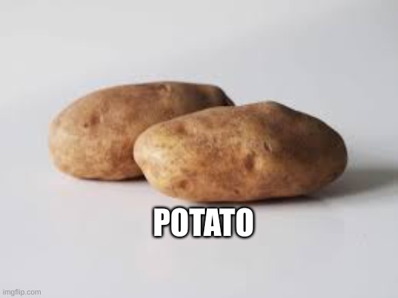 Potato | POTATO | image tagged in potato | made w/ Imgflip meme maker