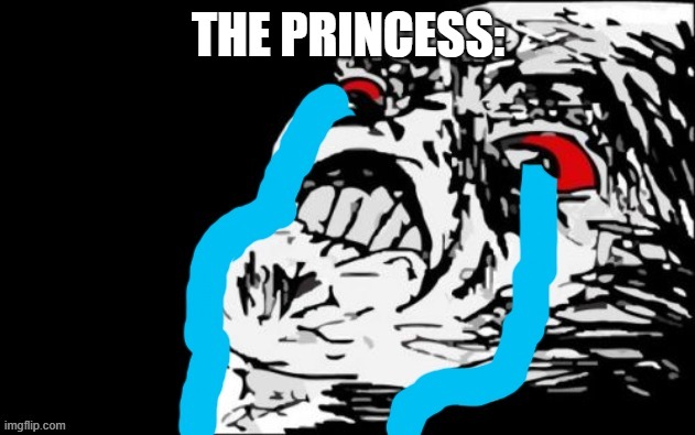 crying mega rage | THE PRINCESS: | image tagged in crying mega rage | made w/ Imgflip meme maker