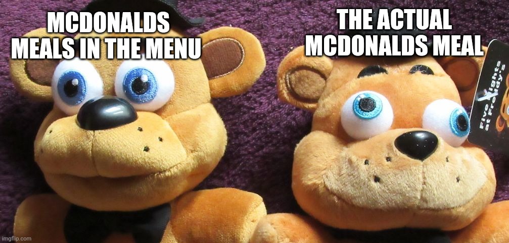 Mcdonalds expectation vs reality | THE ACTUAL MCDONALDS MEAL; MCDONALDS MEALS IN THE MENU | image tagged in me x vs me x fnaf plushies,mcdonalds,expectation vs reality,meme | made w/ Imgflip meme maker