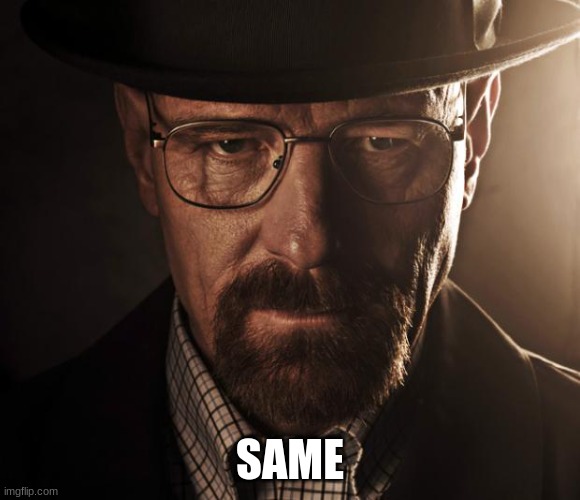 Heisenberg | SAME | image tagged in heisenberg | made w/ Imgflip meme maker
