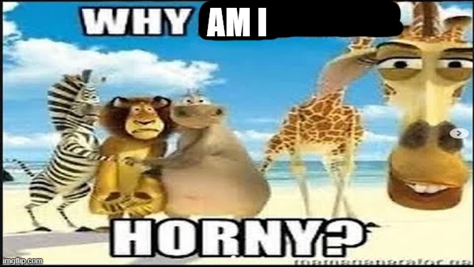a | AM I | image tagged in why are you horny | made w/ Imgflip meme maker