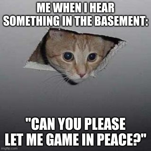 Ceiling Cat Meme | ME WHEN I HEAR SOMETHING IN THE BASEMENT:; "CAN YOU PLEASE LET ME GAME IN PEACE?" | image tagged in memes,ceiling cat | made w/ Imgflip meme maker