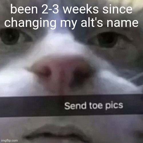 kat | been 2-3 weeks since changing my alt's name | image tagged in kat | made w/ Imgflip meme maker