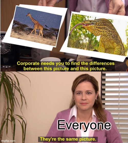 They're The Same Picture Meme | Everyone | image tagged in memes,they're the same picture | made w/ Imgflip meme maker