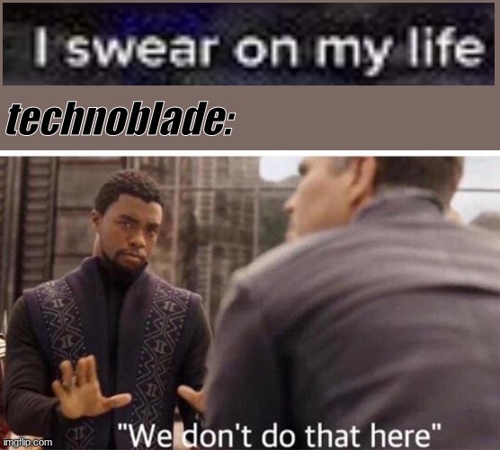 We dont do that here | technoblade: | image tagged in we dont do that here,technoblade,funny memes,fun stream,memes | made w/ Imgflip meme maker