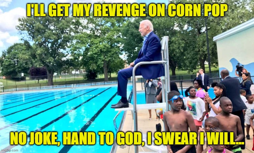 Joe Biden at pool | I'LL GET MY REVENGE ON CORN POP NO JOKE, HAND TO GOD, I SWEAR I WILL... | image tagged in joe biden at pool | made w/ Imgflip meme maker