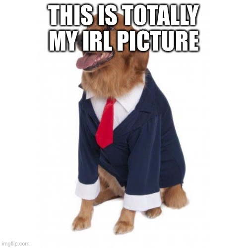 THIS IS TOTALLY MY IRL PICTURE | made w/ Imgflip meme maker