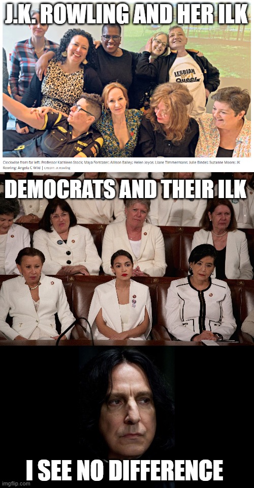 feminism is toxic no matter who's wielding it | J.K. ROWLING AND HER ILK; DEMOCRATS AND THEIR ILK; I SEE NO DIFFERENCE | image tagged in feminism,jk rowling,democrats,congress,snape,harry potter | made w/ Imgflip meme maker
