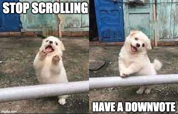 Wait! Stop scrolling! | STOP SCROLLING HAVE A DOWNVOTE | image tagged in wait stop scrolling | made w/ Imgflip meme maker