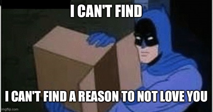 I can't find it | I CAN'T FIND; I CAN'T FIND A REASON TO NOT LOVE YOU | image tagged in batman cant find,wholesome | made w/ Imgflip meme maker