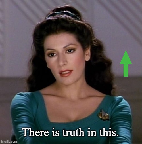 Counselor Deanna Troi | There is truth in this. | image tagged in counselor deanna troi | made w/ Imgflip meme maker