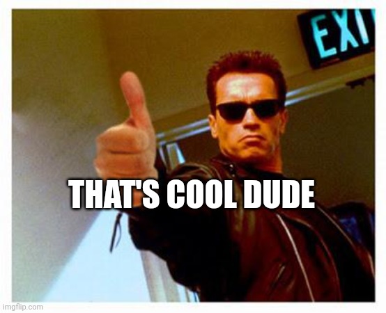 terminator thumbs up | THAT'S COOL DUDE | image tagged in terminator thumbs up | made w/ Imgflip meme maker