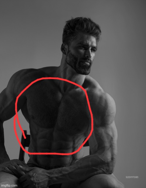 Giga Chad | image tagged in giga chad | made w/ Imgflip meme maker