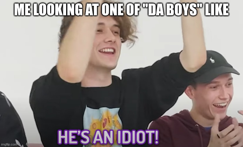 they are idiots | ME LOOKING AT ONE OF "DA BOYS" LIKE | image tagged in he's an idiot | made w/ Imgflip meme maker
