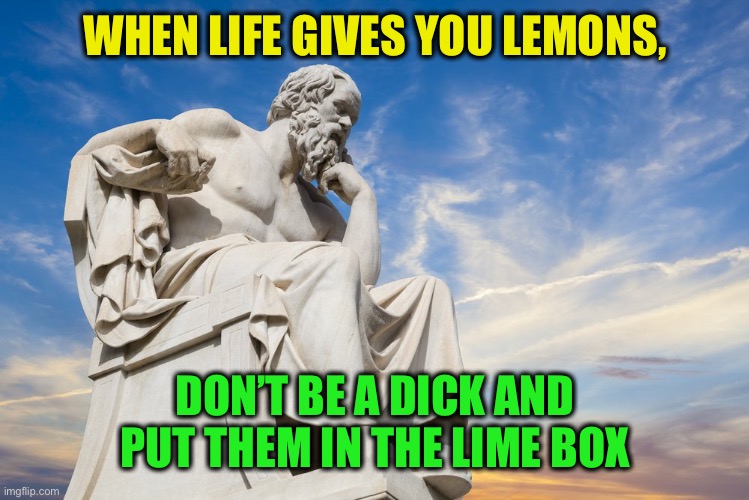 Philosophy | WHEN LIFE GIVES YOU LEMONS, DON’T BE A DICK AND PUT THEM IN THE LIME BOX | image tagged in philosophy | made w/ Imgflip meme maker