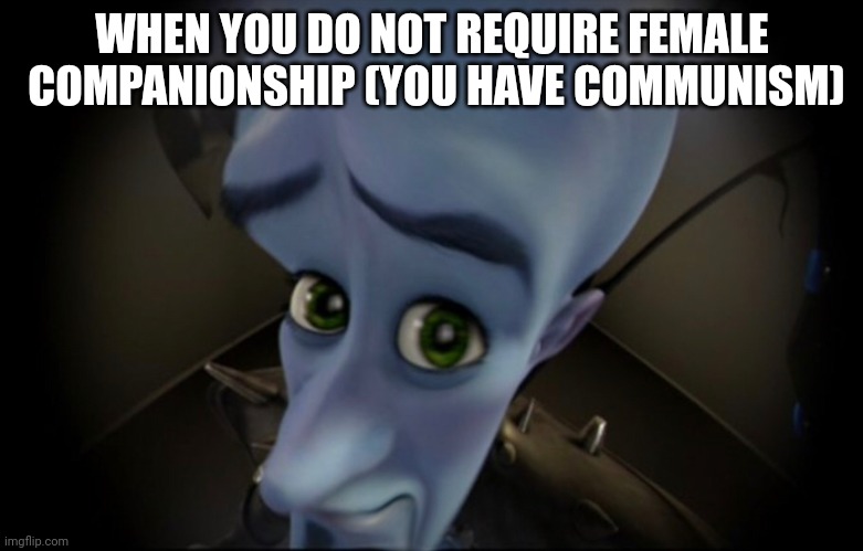 yes bitches | WHEN YOU DO NOT REQUIRE FEMALE  COMPANIONSHIP (YOU HAVE COMMUNISM) | image tagged in yes bitches | made w/ Imgflip meme maker