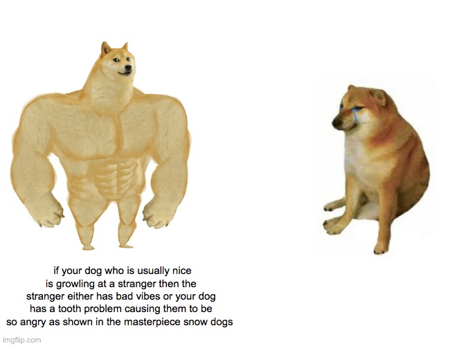 snow dogs | if your dog who is usually nice is growling at a stranger then the stranger either has bad vibes or your dog has a tooth problem causing them to be so angry as shown in the masterpiece snow dogs | image tagged in memes,buff doge vs cheems | made w/ Imgflip meme maker