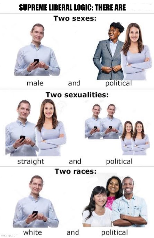 Supreme Liberal Logic | image tagged in liberal logic | made w/ Imgflip meme maker