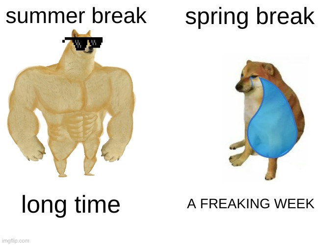 the dogs are cut tho |  summer break; spring break; long time; A FREAKING WEEK | image tagged in memes,buff doge vs cheems,spring,summer,break | made w/ Imgflip meme maker