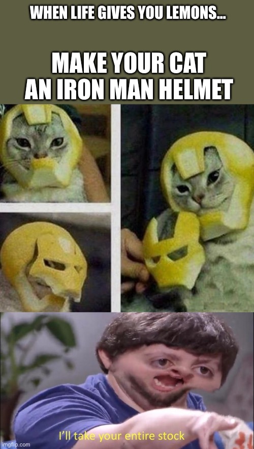 That’s gotta get in ur eyes tho | WHEN LIFE GIVES YOU LEMONS…; MAKE YOUR CAT AN IRON MAN HELMET | image tagged in i'll take your entire stock | made w/ Imgflip meme maker