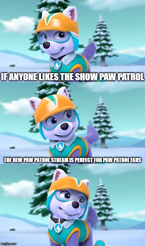 Do you like Paw patrol, this stream is perfect | IF ANYONE LIKES THE SHOW PAW PATROL; THE NEW PAW PATROL STREAM IS PERFECT FOR PAW PATROL FANS | image tagged in paw patrol bad pun everest,paw patrol,new stream | made w/ Imgflip meme maker