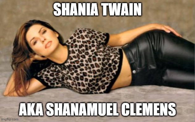 You're Still the One Though | SHANIA TWAIN; AKA SHANAMUEL CLEMENS | image tagged in shania twain | made w/ Imgflip meme maker