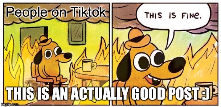 I needed to. | People on Tiktok; THIS IS AN ACTUALLY GOOD POST :) | image tagged in memes,this is fine | made w/ Imgflip meme maker