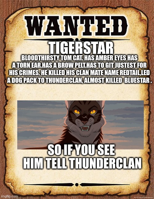 Tigerstar is wanted | TIGERSTAR; BLOODTHIRSTY TOM CAT. HAS AMBER EYES HAS A TORN EAR.HAS A BROW PELT.HAS TO GIT JUSTEST FOR HIS CRIMES. HE KILLED HIS CLAN MATE NAME REDTAIL,LED A DOG PACK TO THUNDERCLAN, ALMOST KILLED  BLUESTAR . SO IF YOU SEE  HIM TELL THUNDERCLAN | image tagged in wanted poster,warriors,warrior cats,cat,cats | made w/ Imgflip meme maker