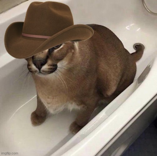 I couldn't find a cowboy floppa so I made one | image tagged in cowboy hat,cowboy,floppa | made w/ Imgflip meme maker